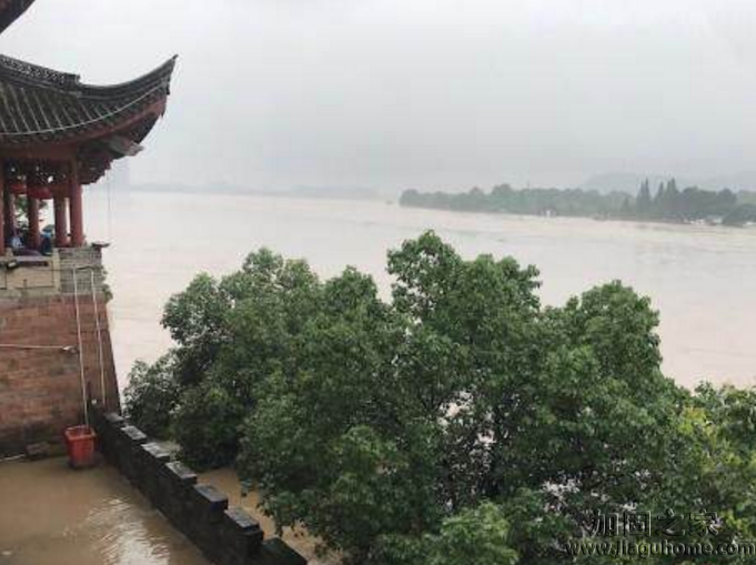 錢塘江暴發(fā)大洪水，植筋加固過的房屋能撐得住嗎